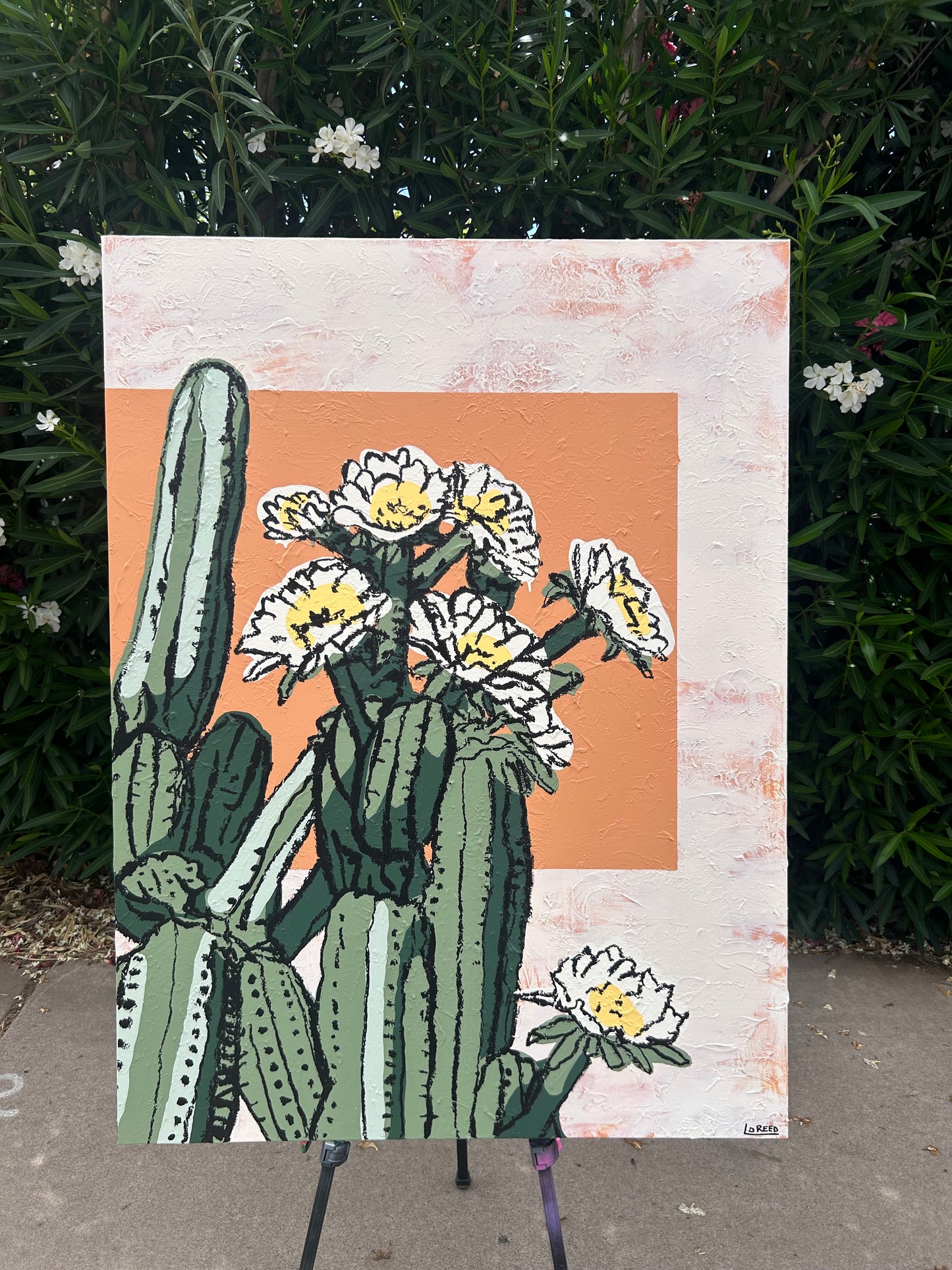 “IN BLOOM”