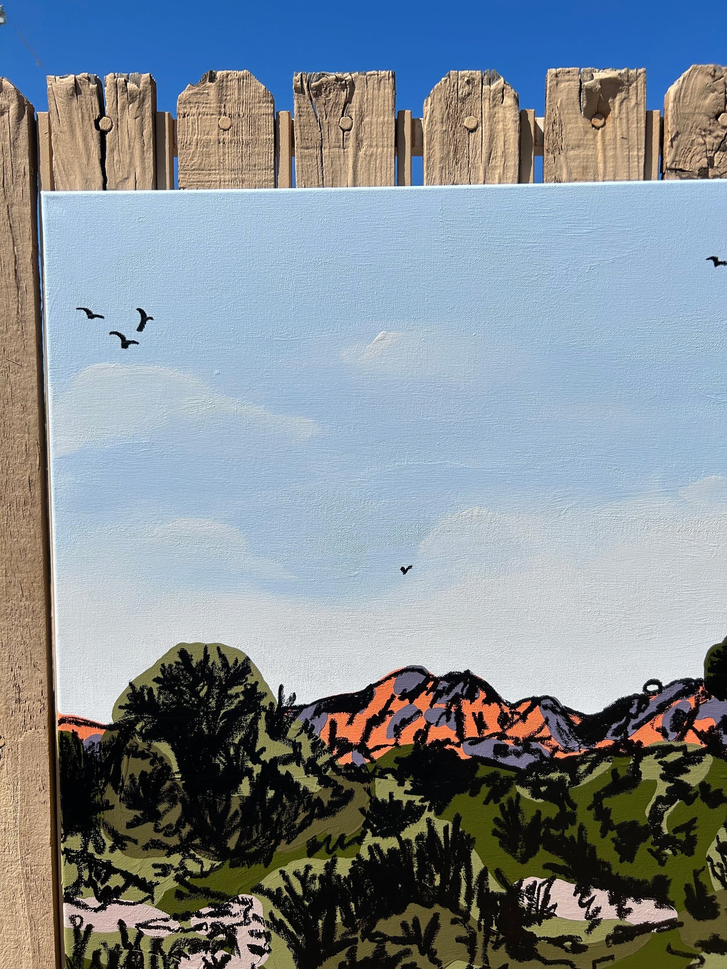 "SUPERSTITION MOUNTAINS"