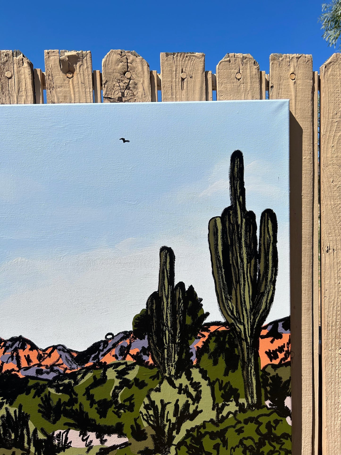 "SUPERSTITION MOUNTAINS"