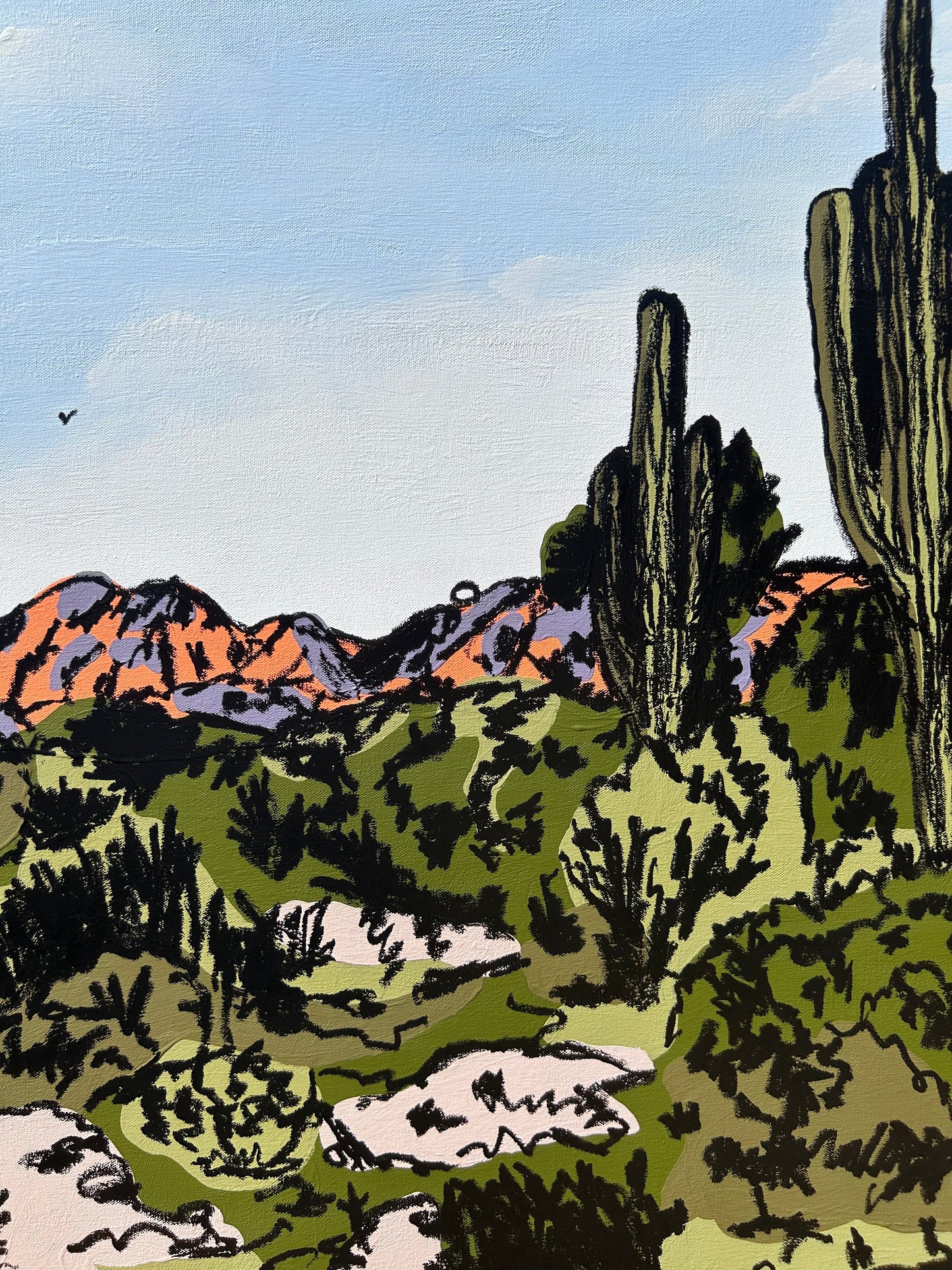 "SUPERSTITION MOUNTAINS"