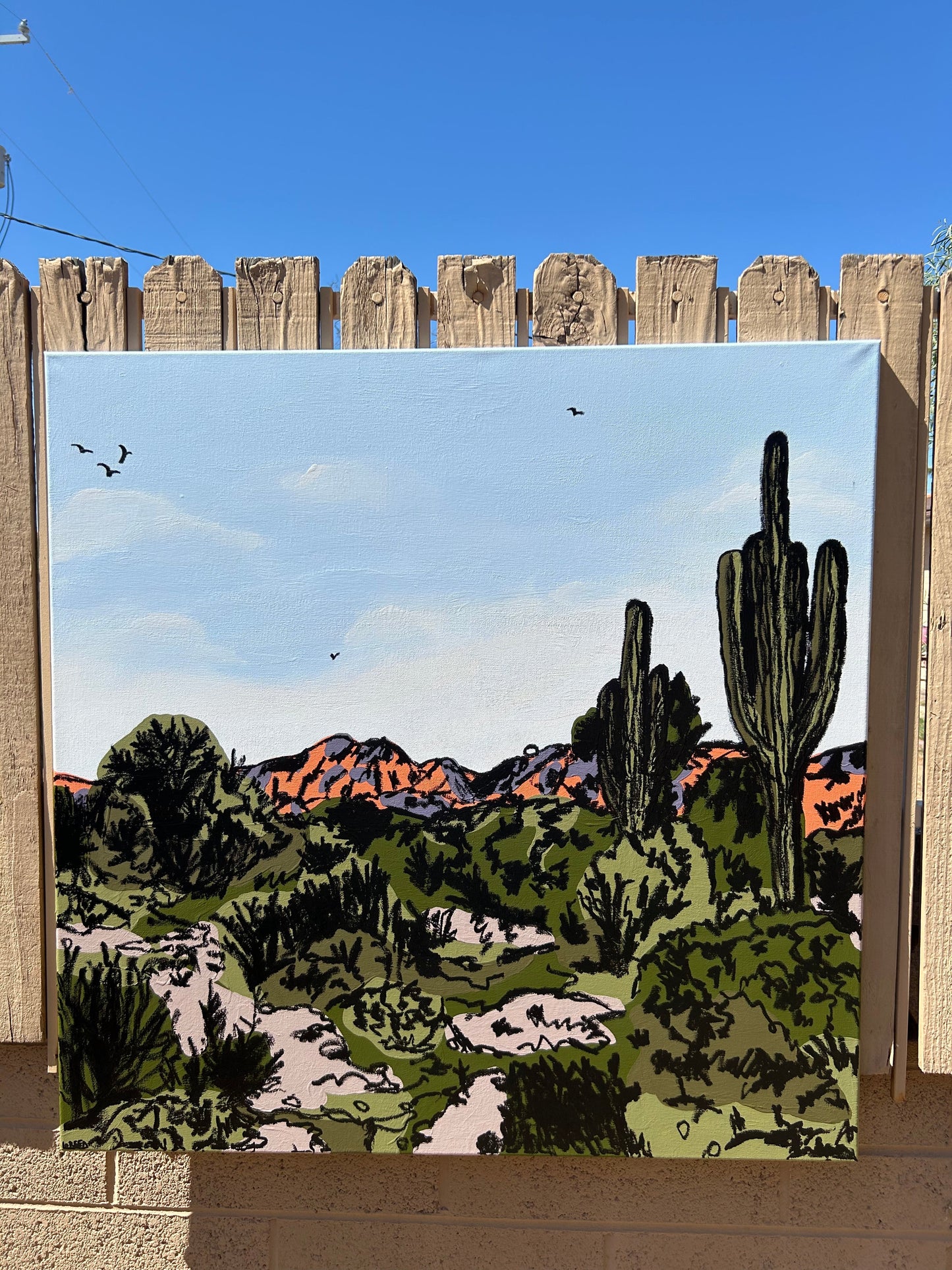 "SUPERSTITION MOUNTAINS"